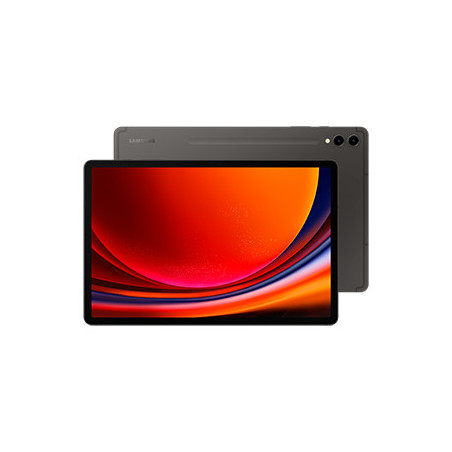 Samsung Galaxy Tab S9+ SM-X816B 5G Qualcomm Snapdragon 256 Go 31,5 cm (12.4") 12 Go Wi-Fi 6 (802.11ax) Android 13 Graphite