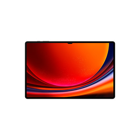 Samsung Galaxy Tab S9 Ultra SM-X916B 5G Qualcomm Snapdragon LTE-TDD & LTE-FDD 512 Go 37,1 cm (14.6") 12 Go Wi-Fi 6 (802.11ax)