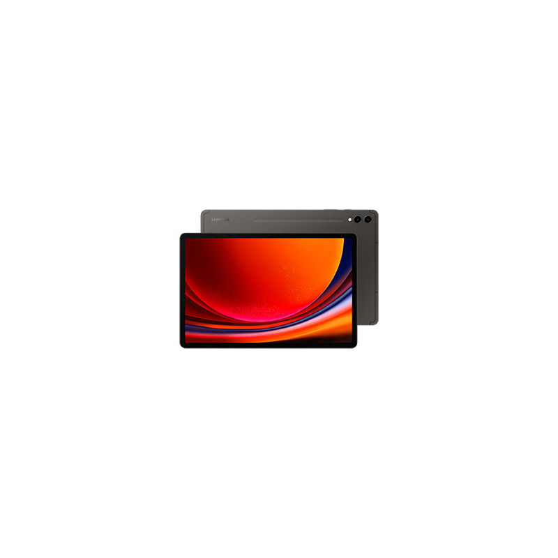 Samsung Galaxy Tab S9+ SM-X816B 5G Qualcomm Snapdragon 256 Go 31,5 cm (12.4") 12 Go Wi-Fi 6 (802.11ax) Android 13 Graphite Samsung Galaxy Tab S9+ SM-X816B 5G Qualcomm Snapdragon 256 Go 31,5 cm (12.4") 12 Go Wi-Fi 6 (802.11ax) Android 13 Graphite
