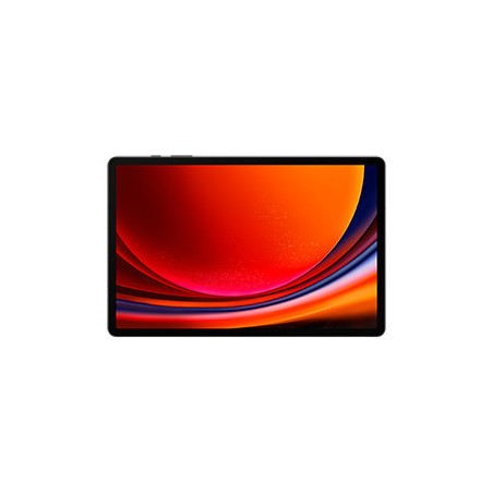 Samsung Galaxy Tab S9+ SM-X816B 5G Qualcomm Snapdragon 256 Go 31,5 cm (12.4") 12 Go Wi-Fi 6 (802.11ax) Android 13 Graphite