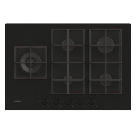 PLAQUE ROSIERES GAZ 5 FEUX NOIR