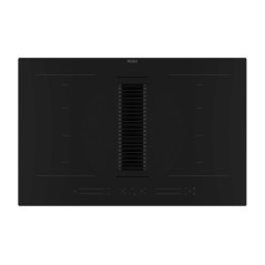 PLAQUE INDUCTION & HOTTE ASPIRANTE