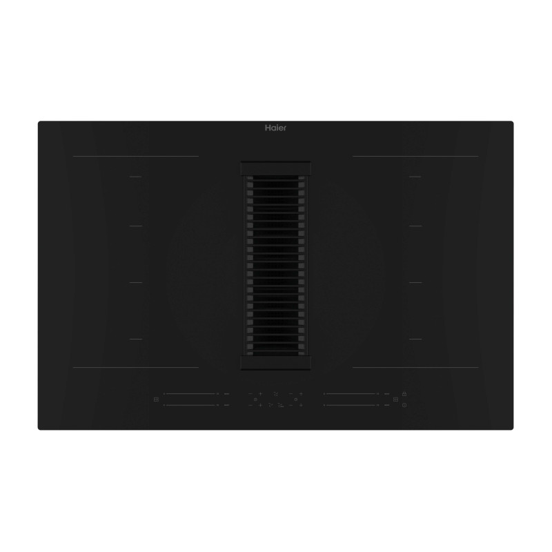 PLAQUE INDUCTION & HOTTE ASPIRANTE PLAQUE INDUCTION & HOTTE ASPIRANTE