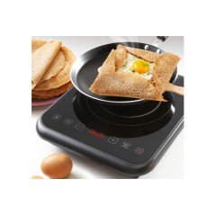 PLAQUE INDUCTION BRANDT PORTABLE