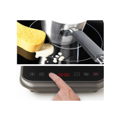 PLAQUE INDUCTION BRANDT PORTABLE