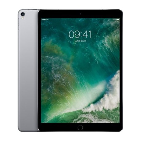 10,5’’iPadPro Wi-Fi+Cell256GB SpaceGrey